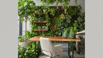 Біофільний дизайн: як велика кількість рослин впливає на ваше здоров'я та продуктивність