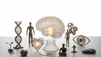 цікаві факти про людину