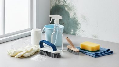 Як позбутися плісняви на стінах назавжди: професійні методи та засоби